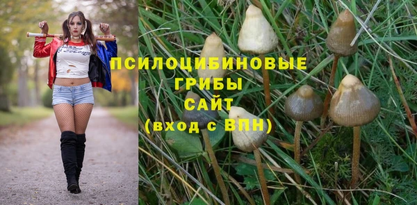 дживик Алексин