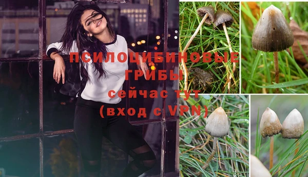 кокаин колумбия Алексеевка