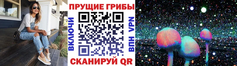 купить наркотики цена  мориарти телеграм  Псилоцибиновые грибы прущие грибы  Шуя  omg как войти 