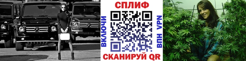 ссылка на мегу рабочий сайт  наркота  Шуя  Марихуана конопля 